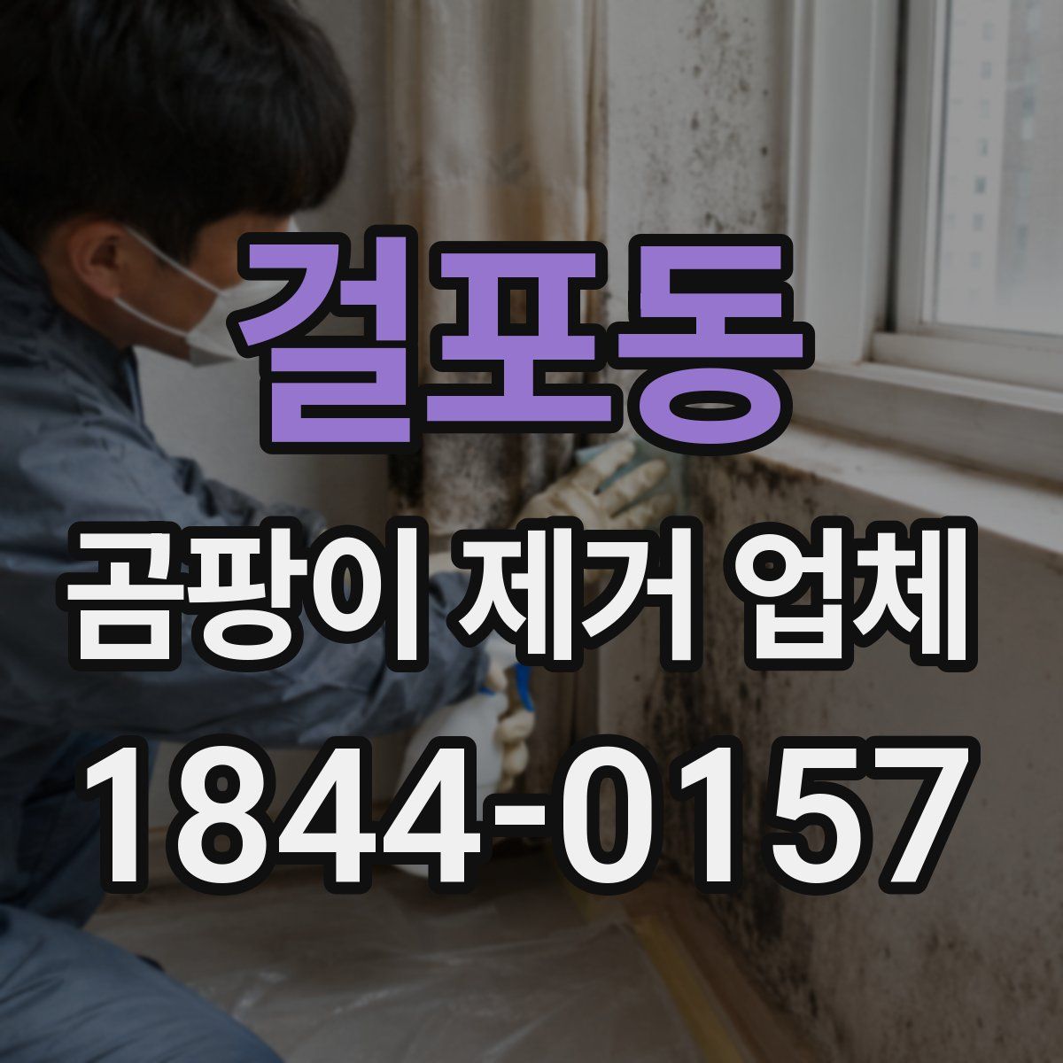 걸포동 곰팡이 제거 업체