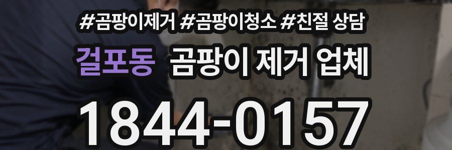 걸포동 곰팡이 제거 업체