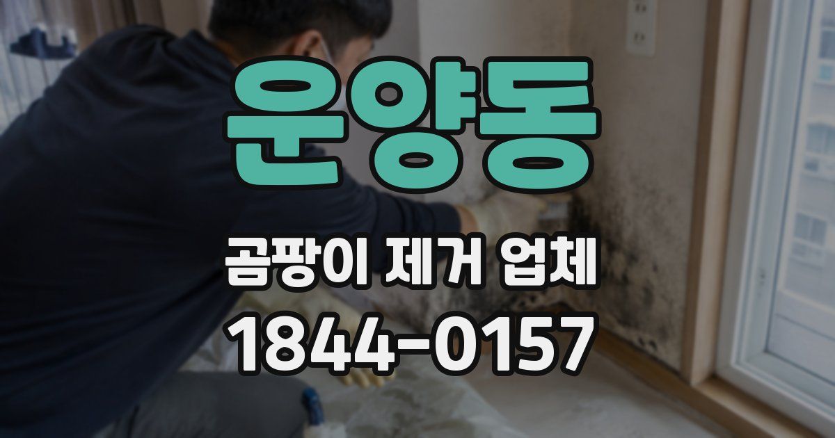 운양동 곰팡이 제거 업체