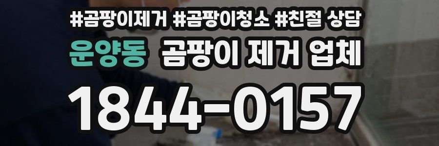 운양동 곰팡이 제거 업체