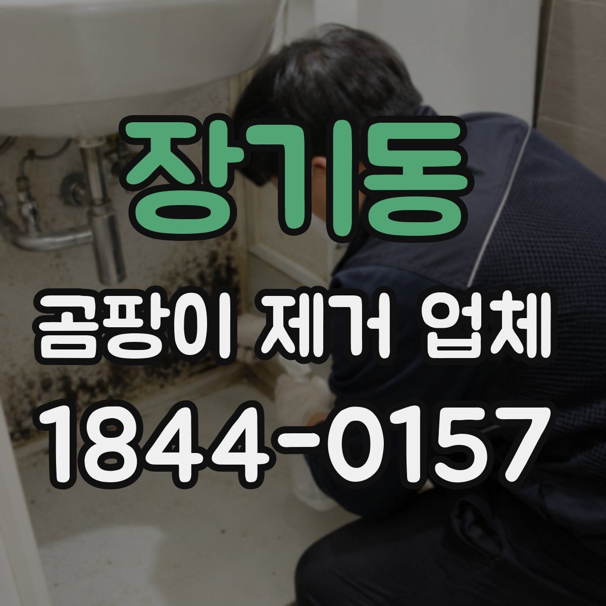 장기동 곰팡이 제거 업체 계약 전 확인해야 할 항목