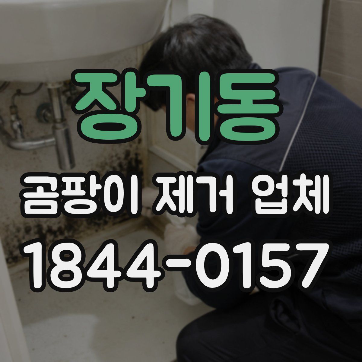 장기동 곰팡이 제거 업체