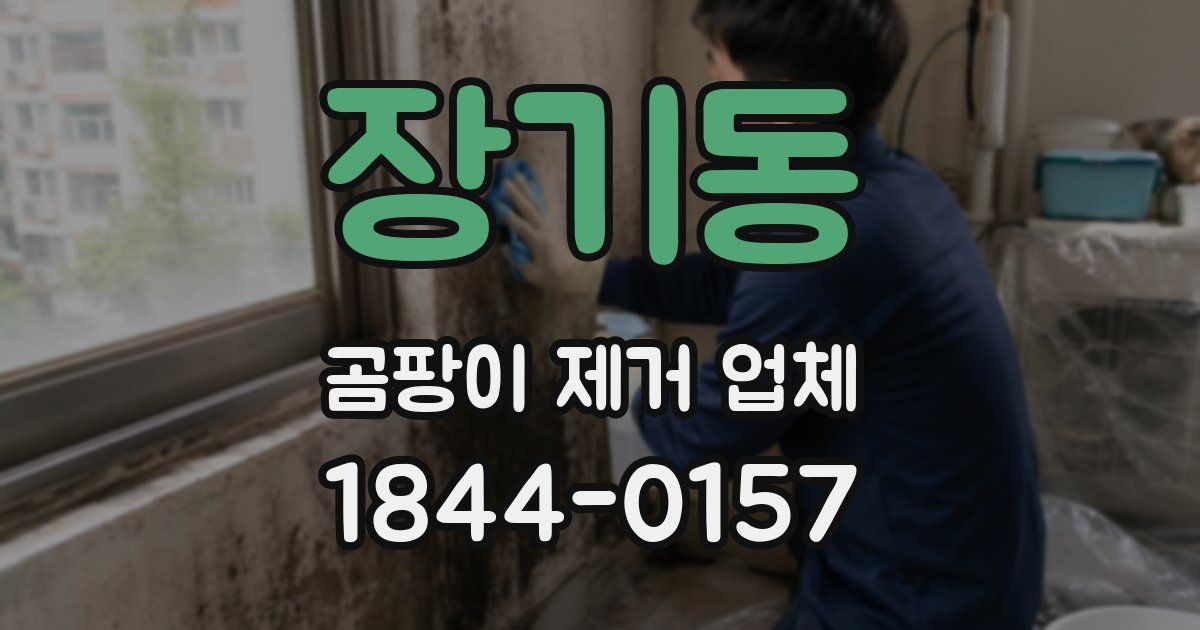 장기동 곰팡이 제거 업체