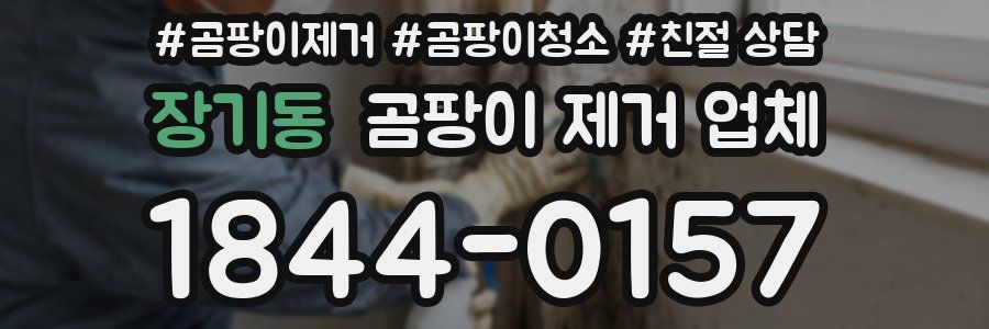 장기동 곰팡이 제거 업체