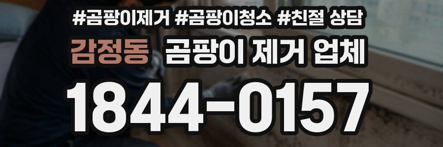 감정동 곰팡이 제거 업체
