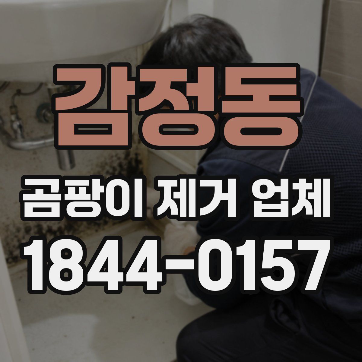 감정동 곰팡이 제거 업체