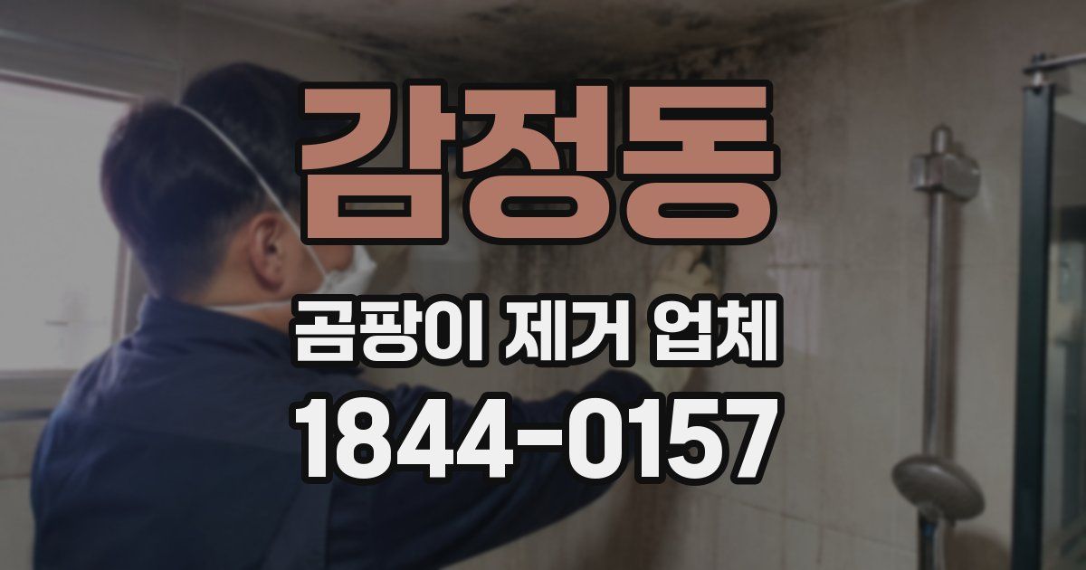 감정동 곰팡이 제거 업체