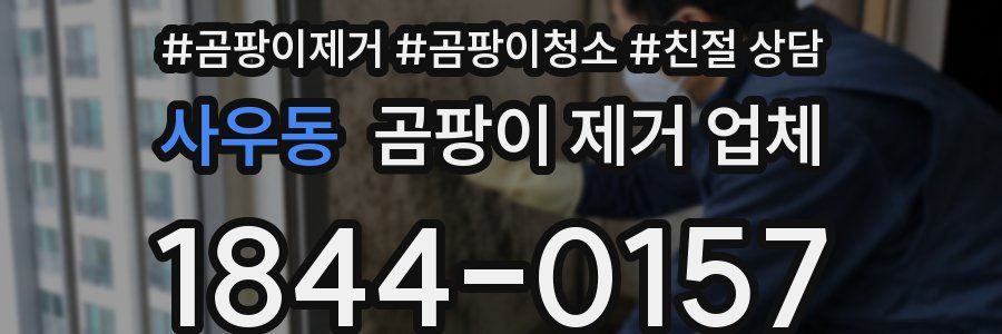사우동 곰팡이 제거 업체