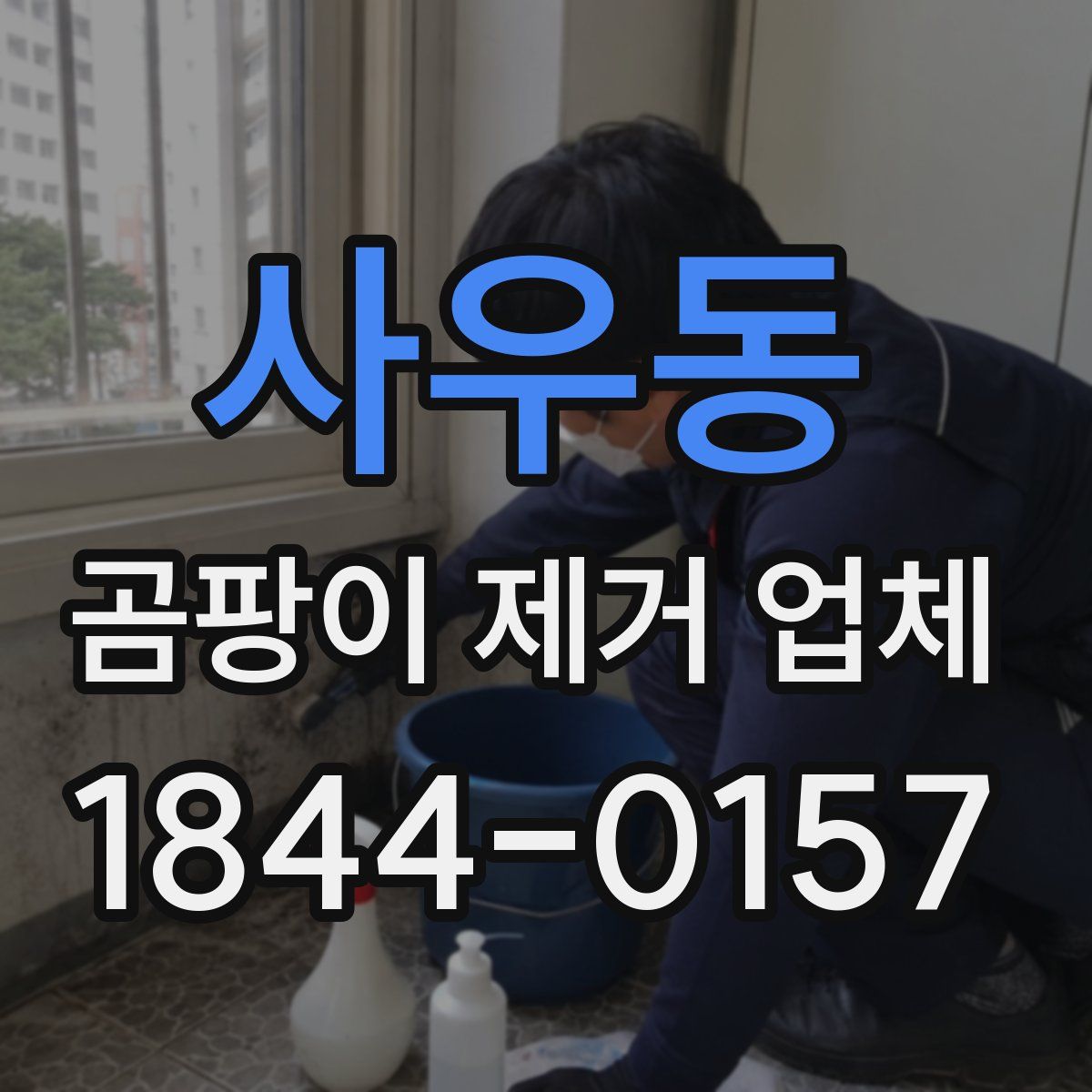 사우동 곰팡이 제거 업체