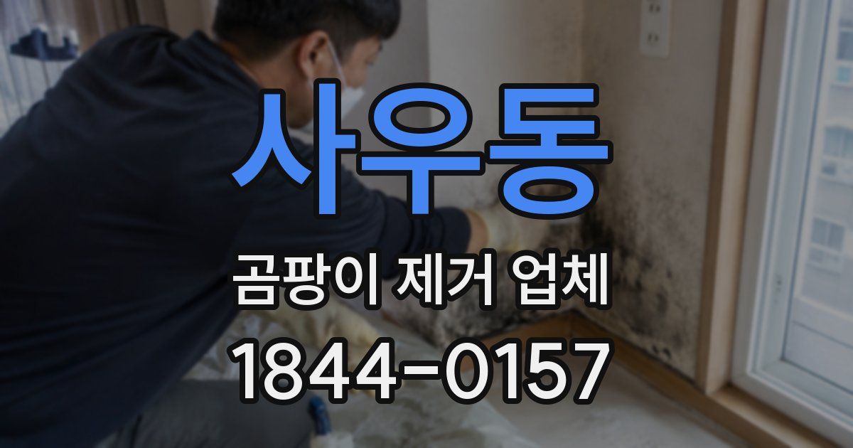 사우동 곰팡이 제거 업체