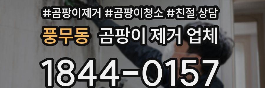 풍무동 곰팡이 제거 업체