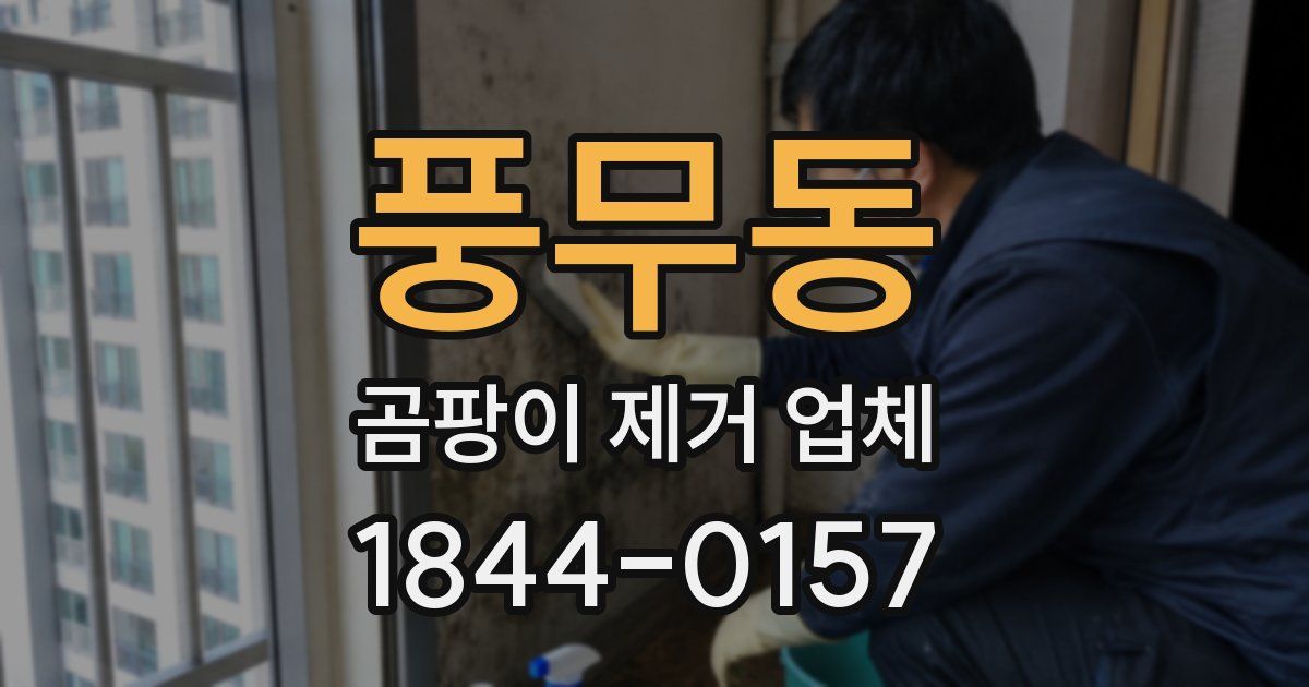풍무동 곰팡이 제거 업체