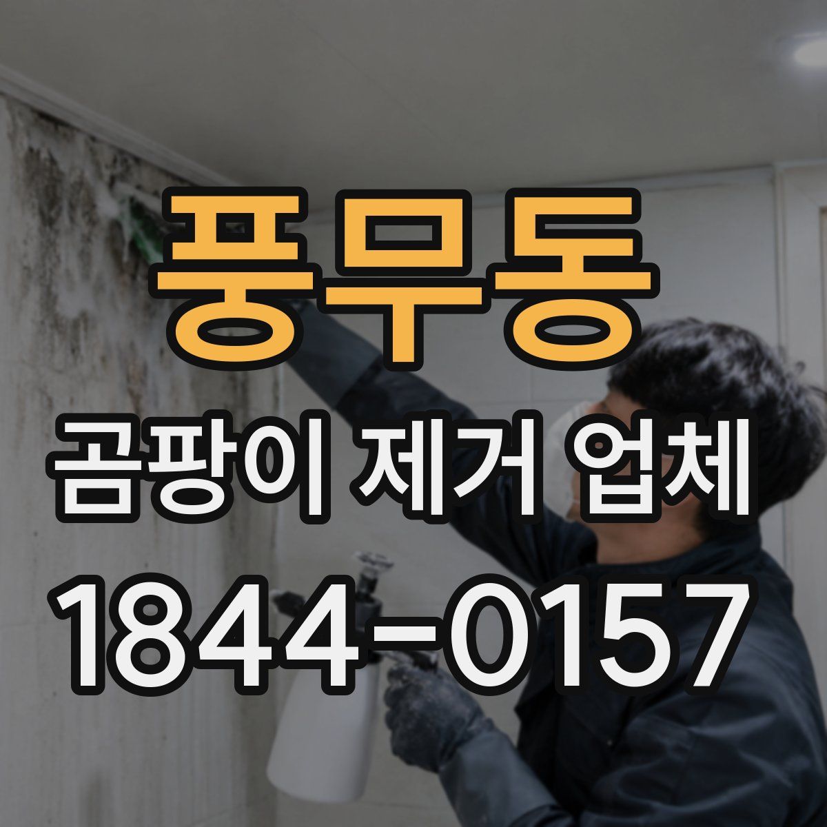 풍무동 곰팡이 제거 업체