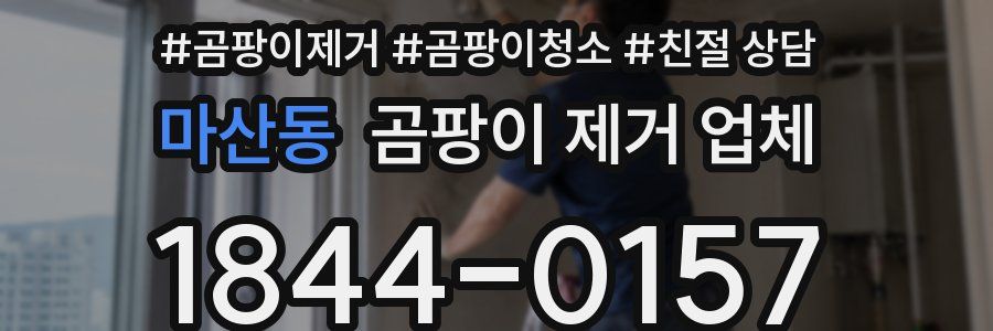 마산동 곰팡이 제거 업체