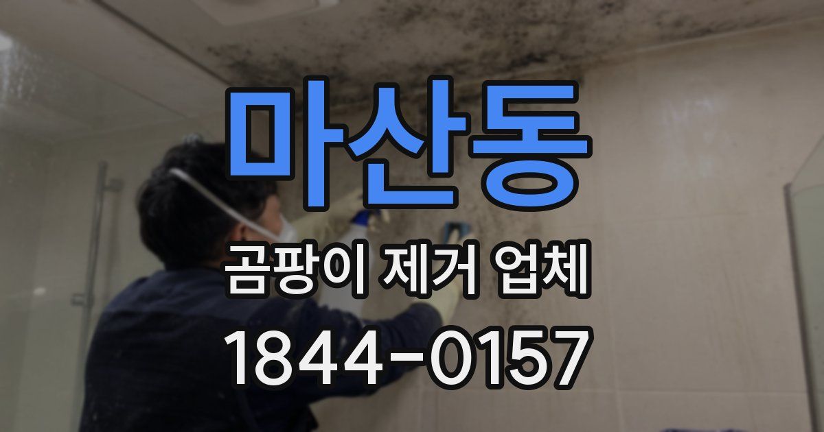 마산동 곰팡이 제거 업체