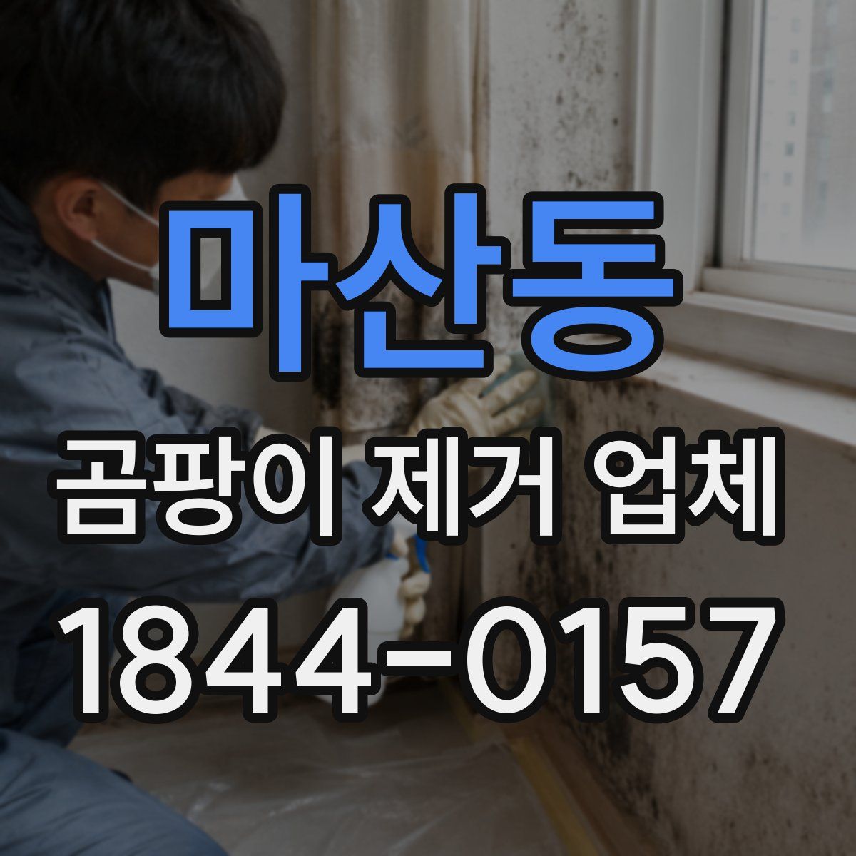 마산동 곰팡이 제거 업체