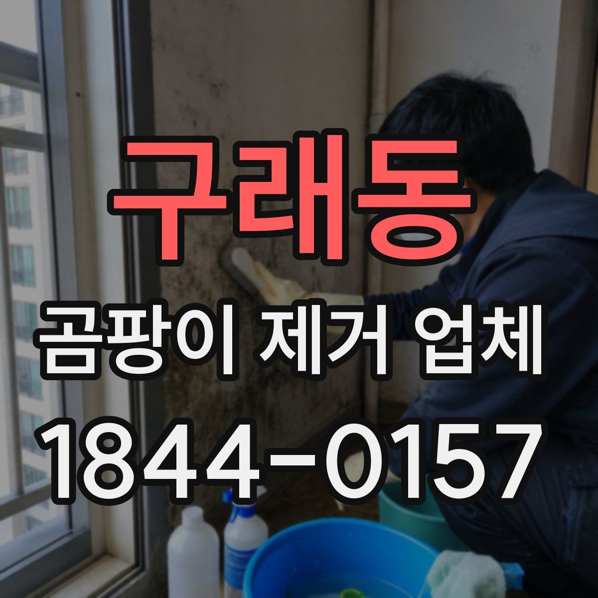 구래동 곰팡이 제거 업체