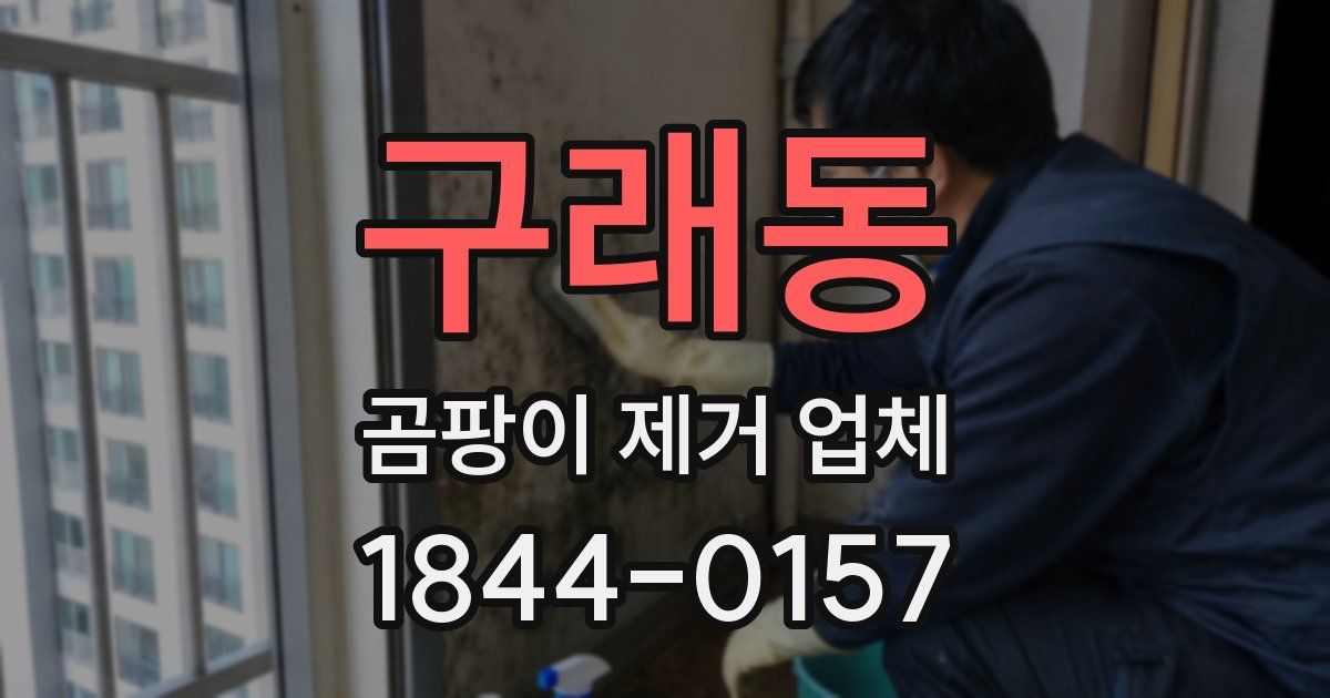 구래동 곰팡이 제거 업체