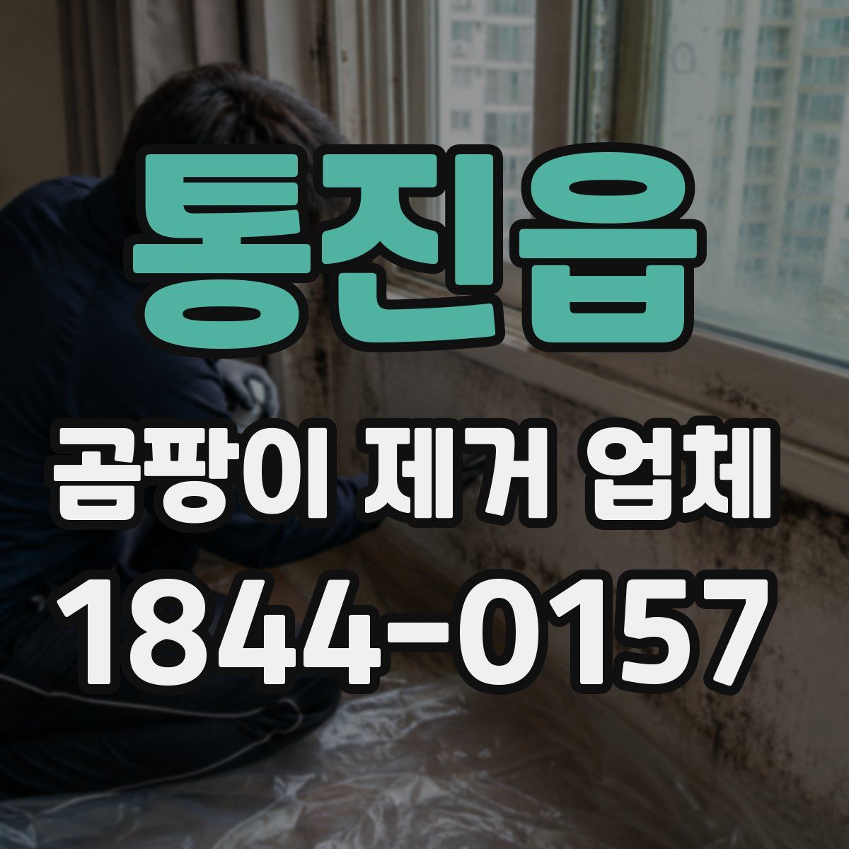 통진읍 곰팡이 제거 업체