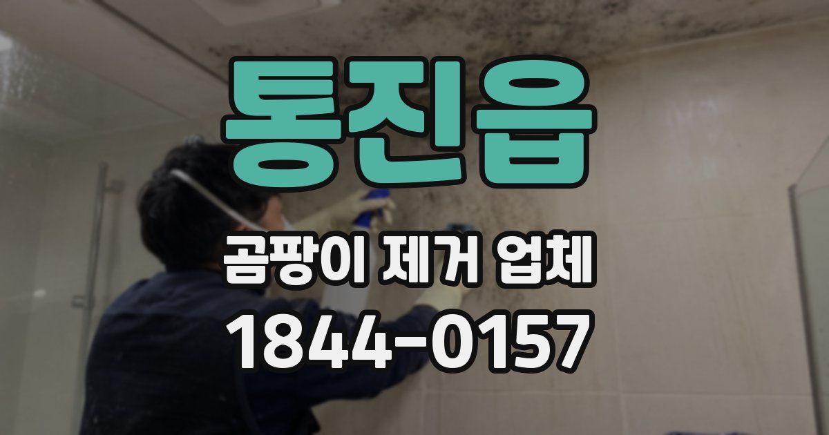통진읍 곰팡이 제거 업체