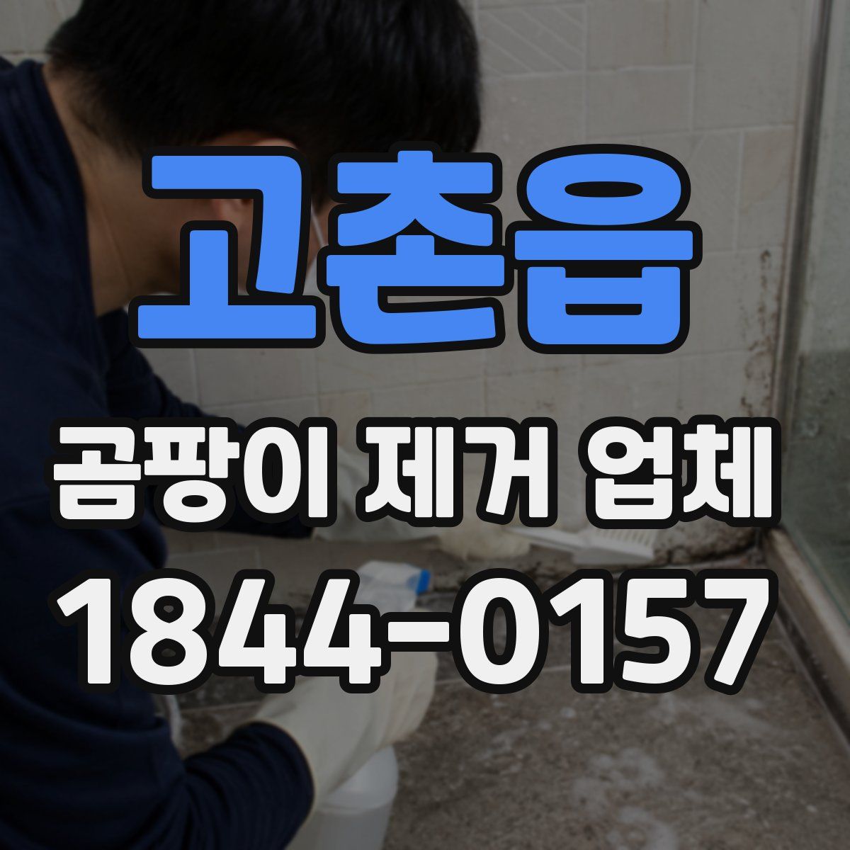 고촌읍 곰팡이 제거 업체