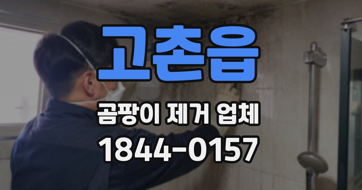 고촌읍 곰팡이 제거 업체