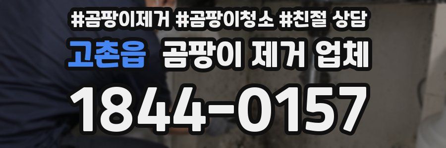 고촌읍 곰팡이 제거 업체