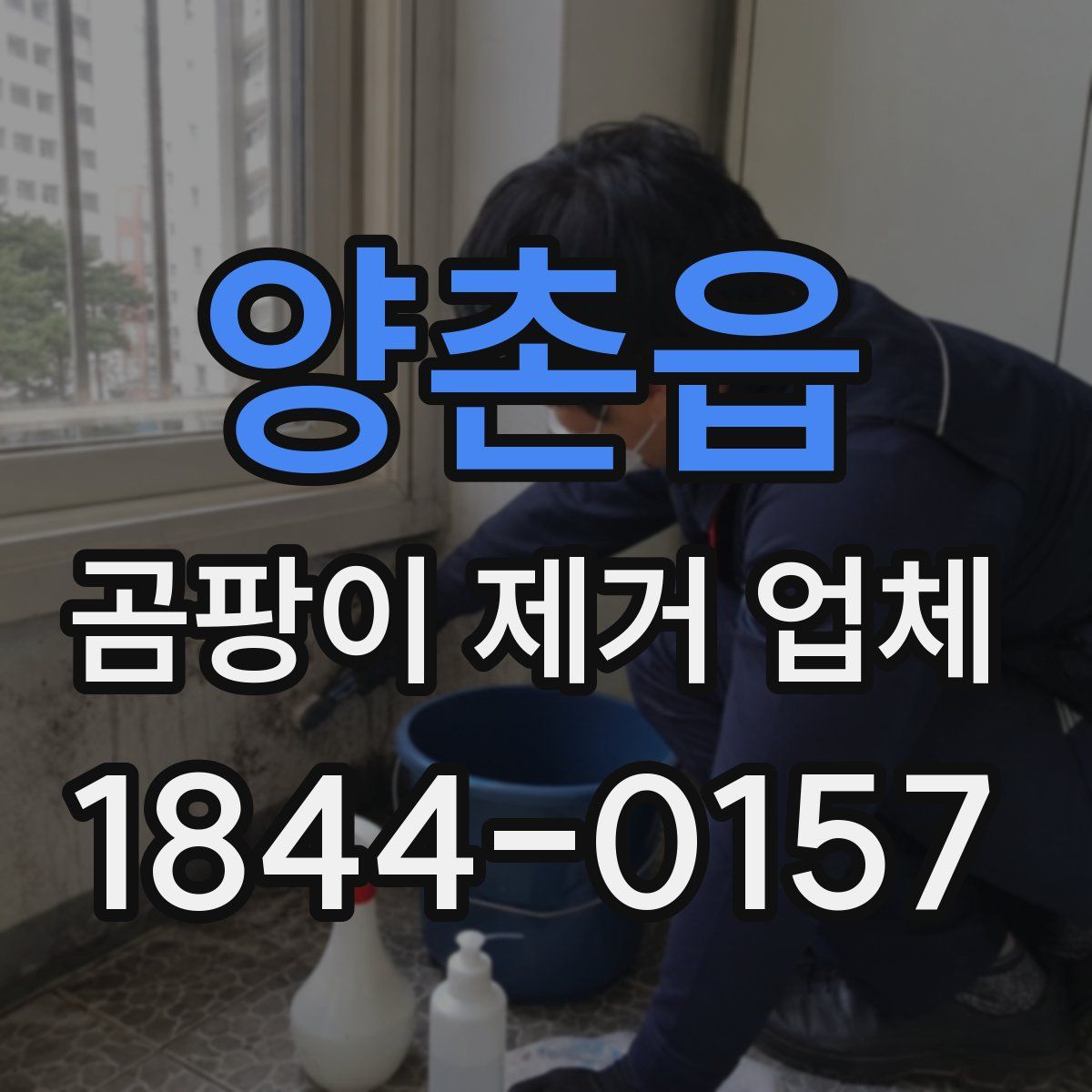 양촌읍 곰팡이 제거 업체