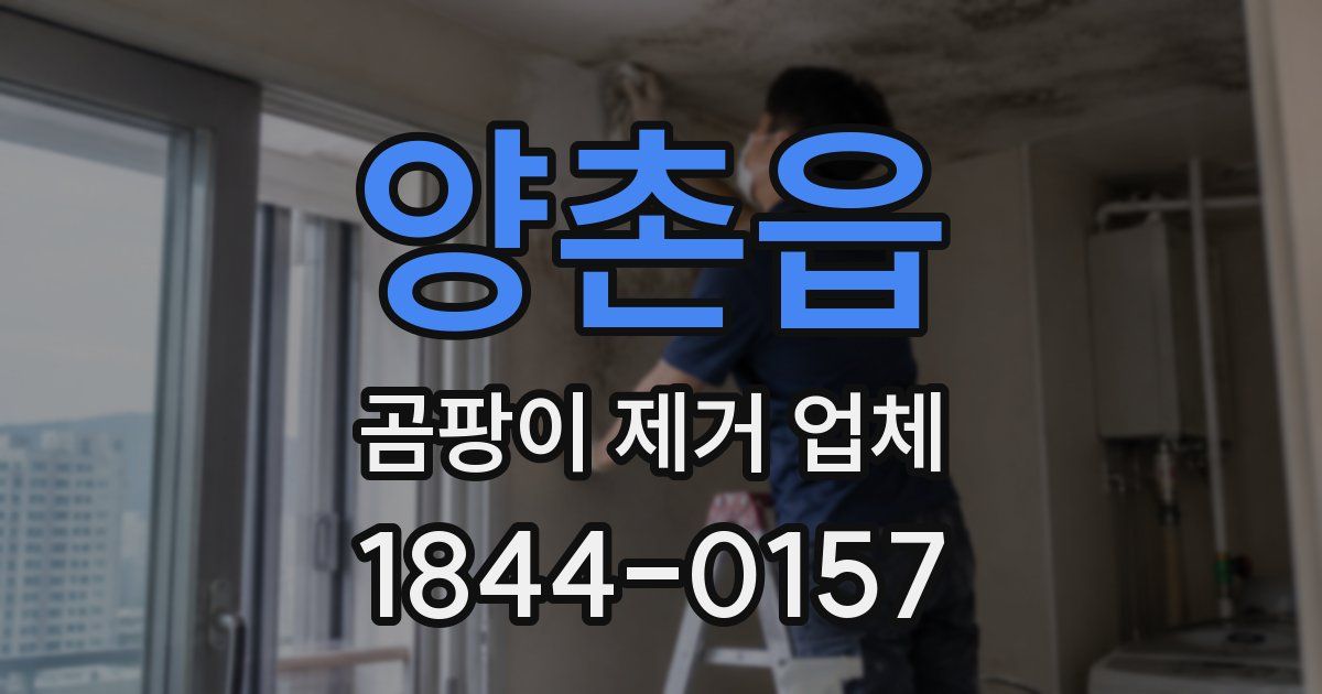 양촌읍 곰팡이 제거 업체