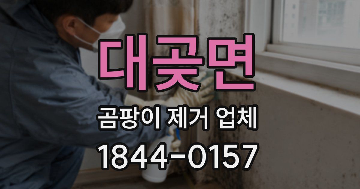 대곶면 곰팡이 제거 업체
