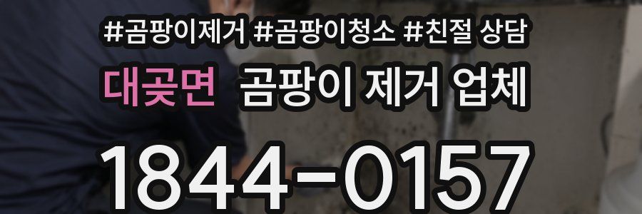 대곶면 곰팡이 제거 업체