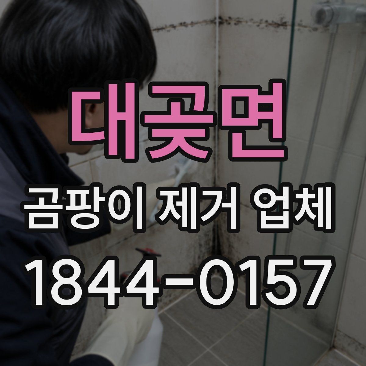 대곶면 곰팡이 제거 업체