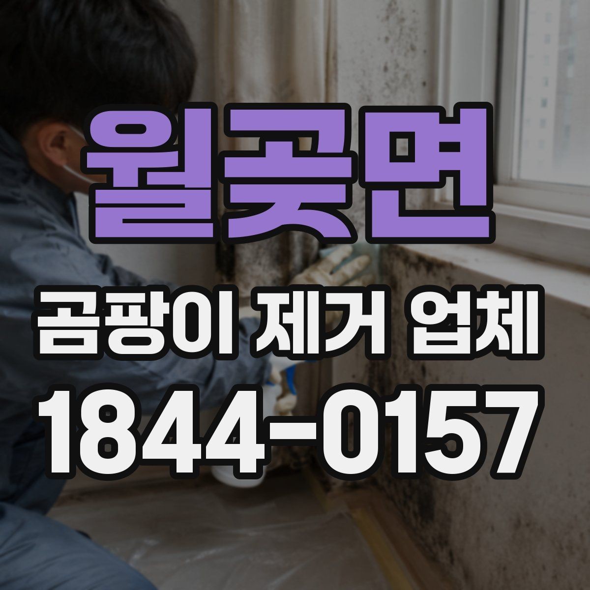 월곶면 곰팡이 제거 업체 이용 후기에서 신뢰할 만한 신호