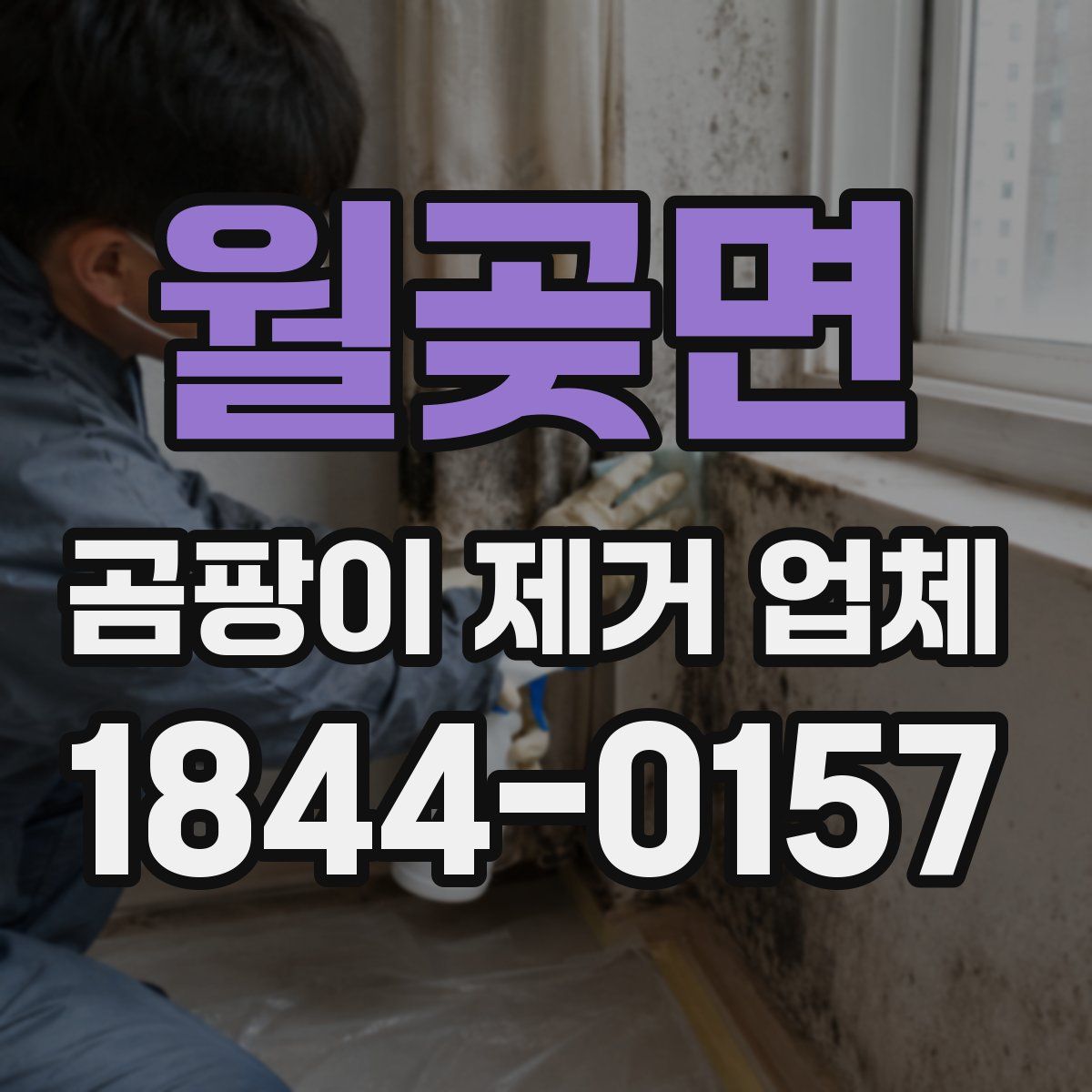월곶면 곰팡이 제거 업체