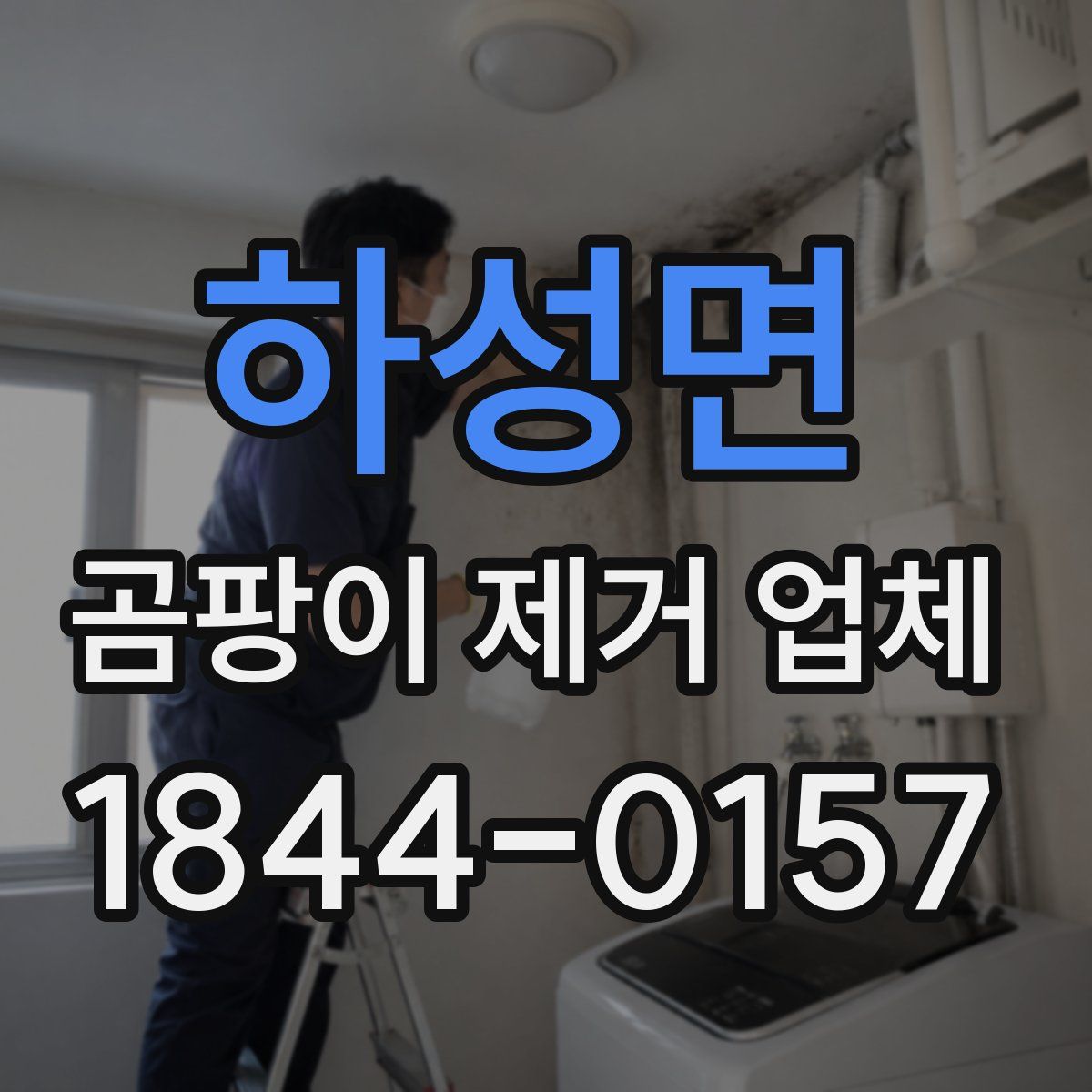 하성면 곰팡이 제거 업체