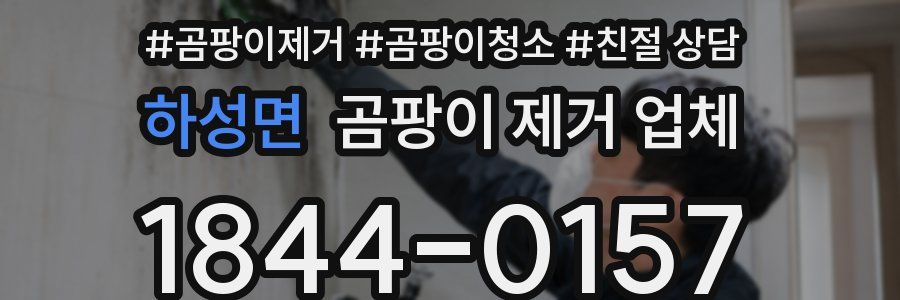 하성면 곰팡이 제거 업체