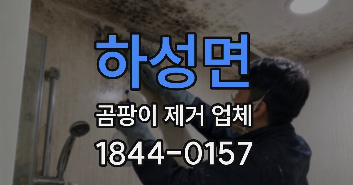 하성면 곰팡이 제거 업체