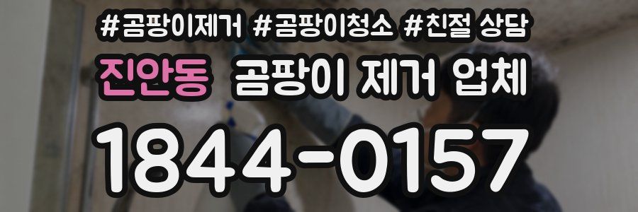진안동 곰팡이 제거 업체