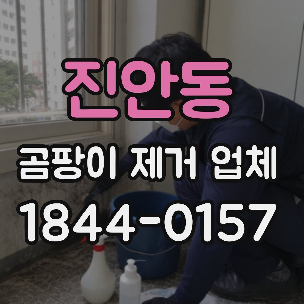 진안동 곰팡이 제거 업체