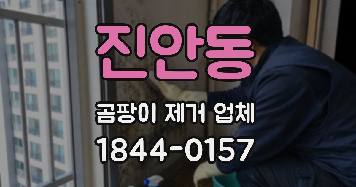 진안동 곰팡이 제거 업체