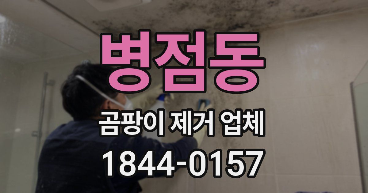 병점동 곰팡이 제거 업체
