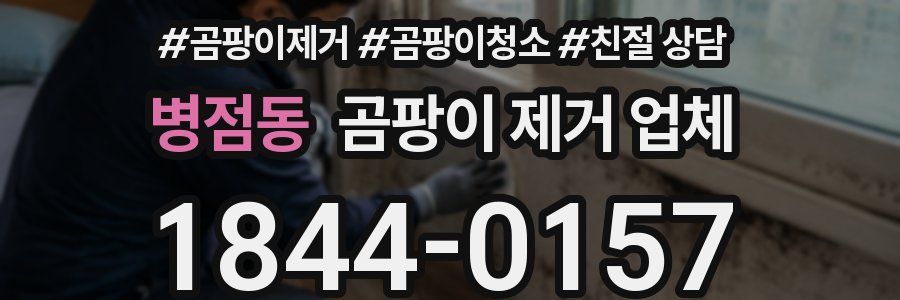 병점동 곰팡이 제거 업체