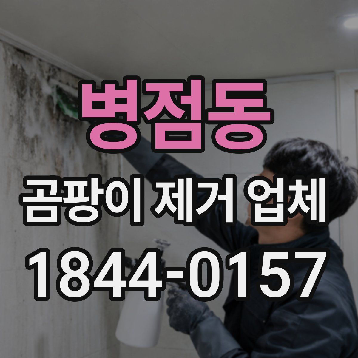 병점동 곰팡이 제거 업체
