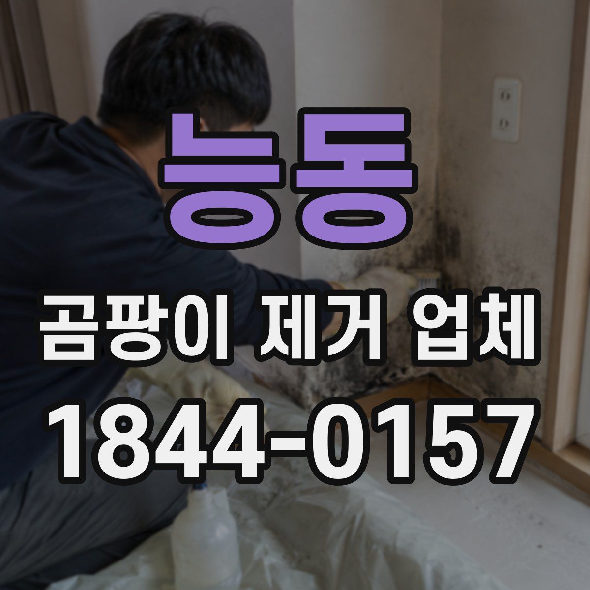 능동 곰팡이 제거 업체