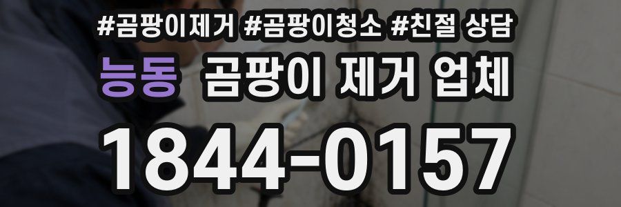 능동 곰팡이 제거 업체