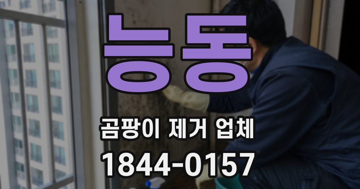 능동 곰팡이 제거 업체