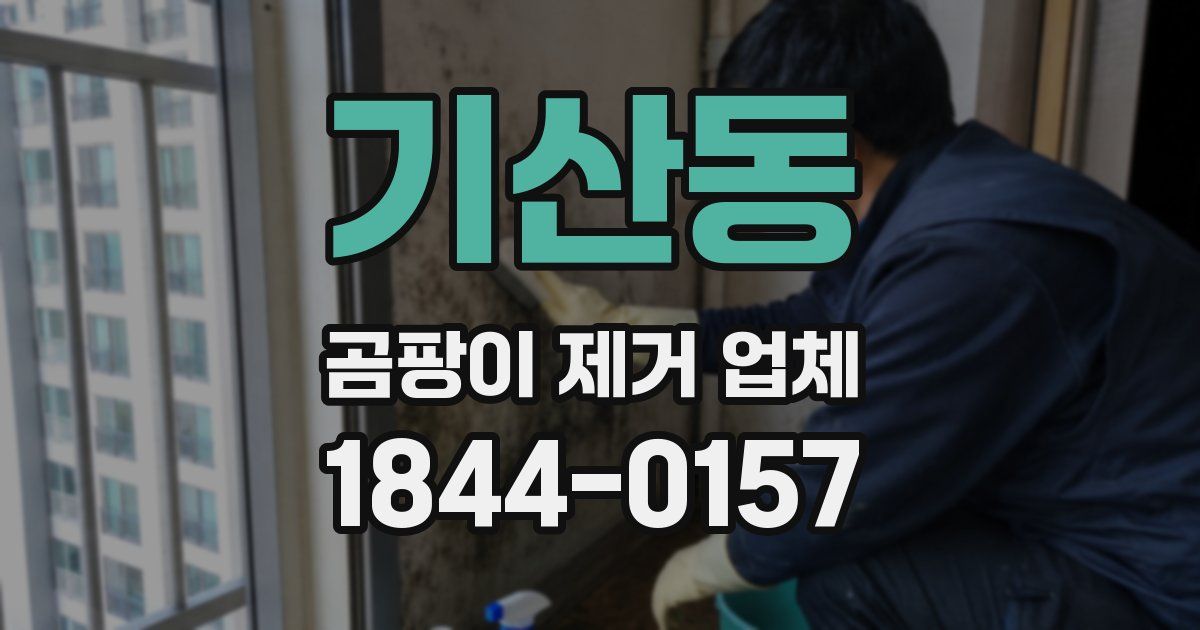 기산동 곰팡이 제거 업체