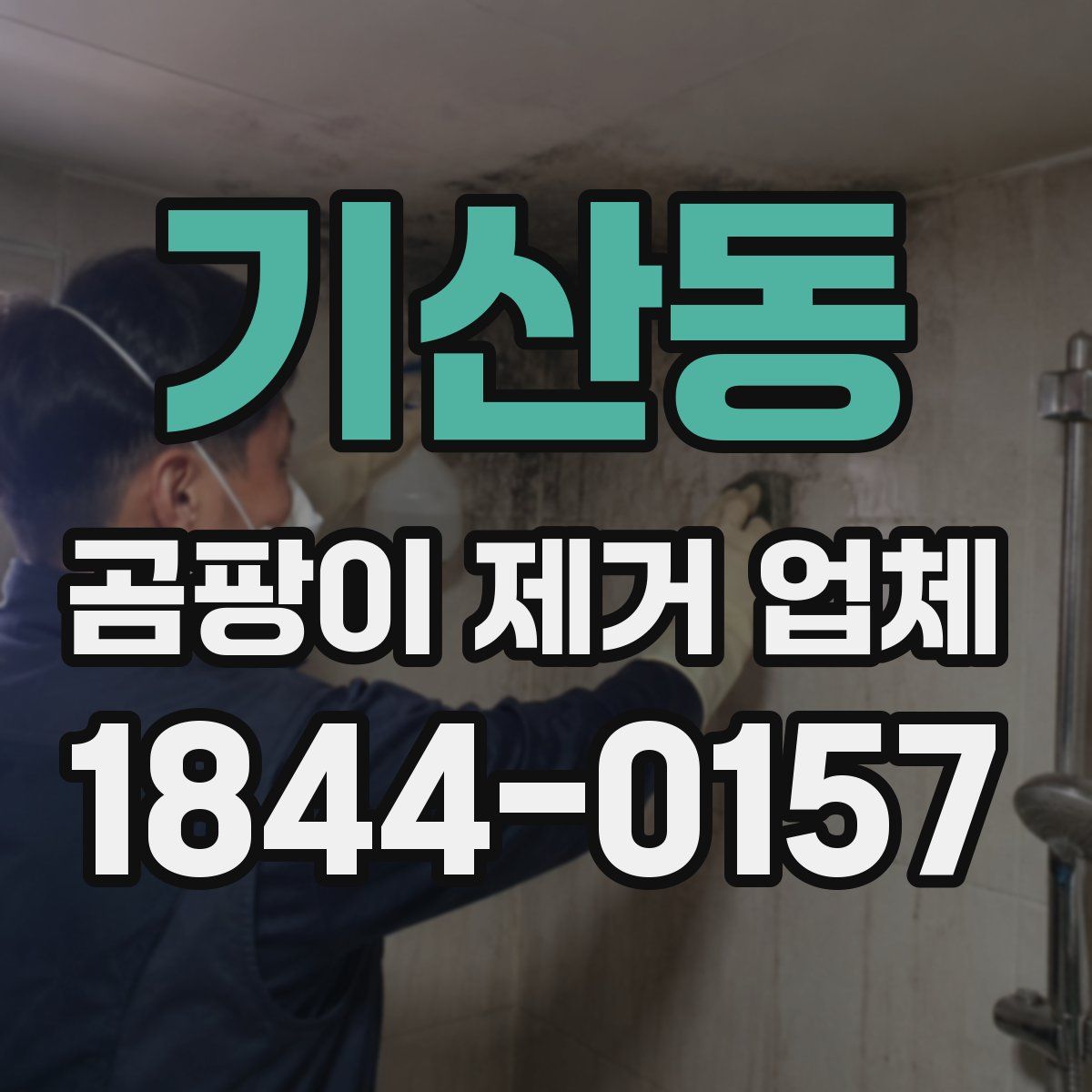 기산동 곰팡이 제거 업체