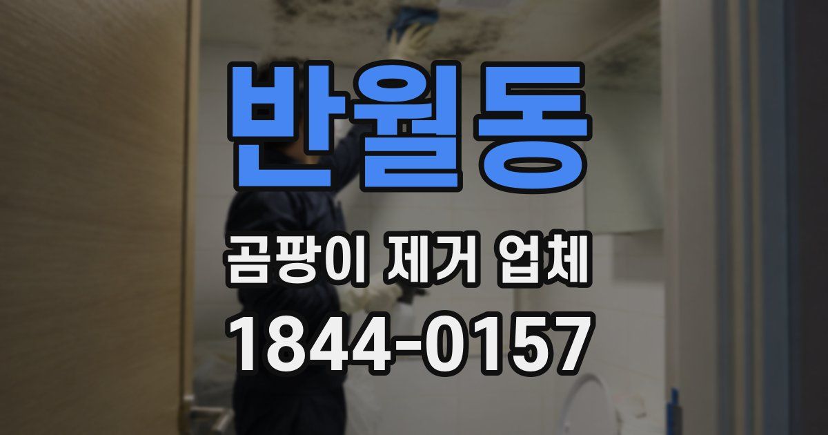 반월동 곰팡이 제거 업체