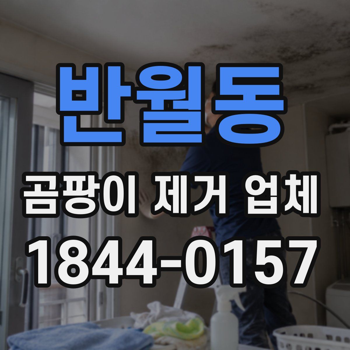 반월동 곰팡이 제거 업체